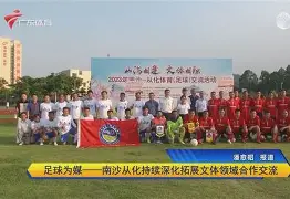 AYX GAMES-南安普顿主场战平强敌，表现稳定的简单介绍